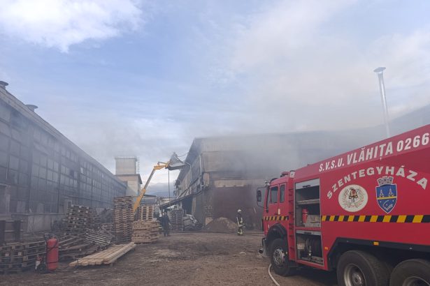 incendiu devastator la un atelier de prelucrare a lemnului din vlahita fotovideo