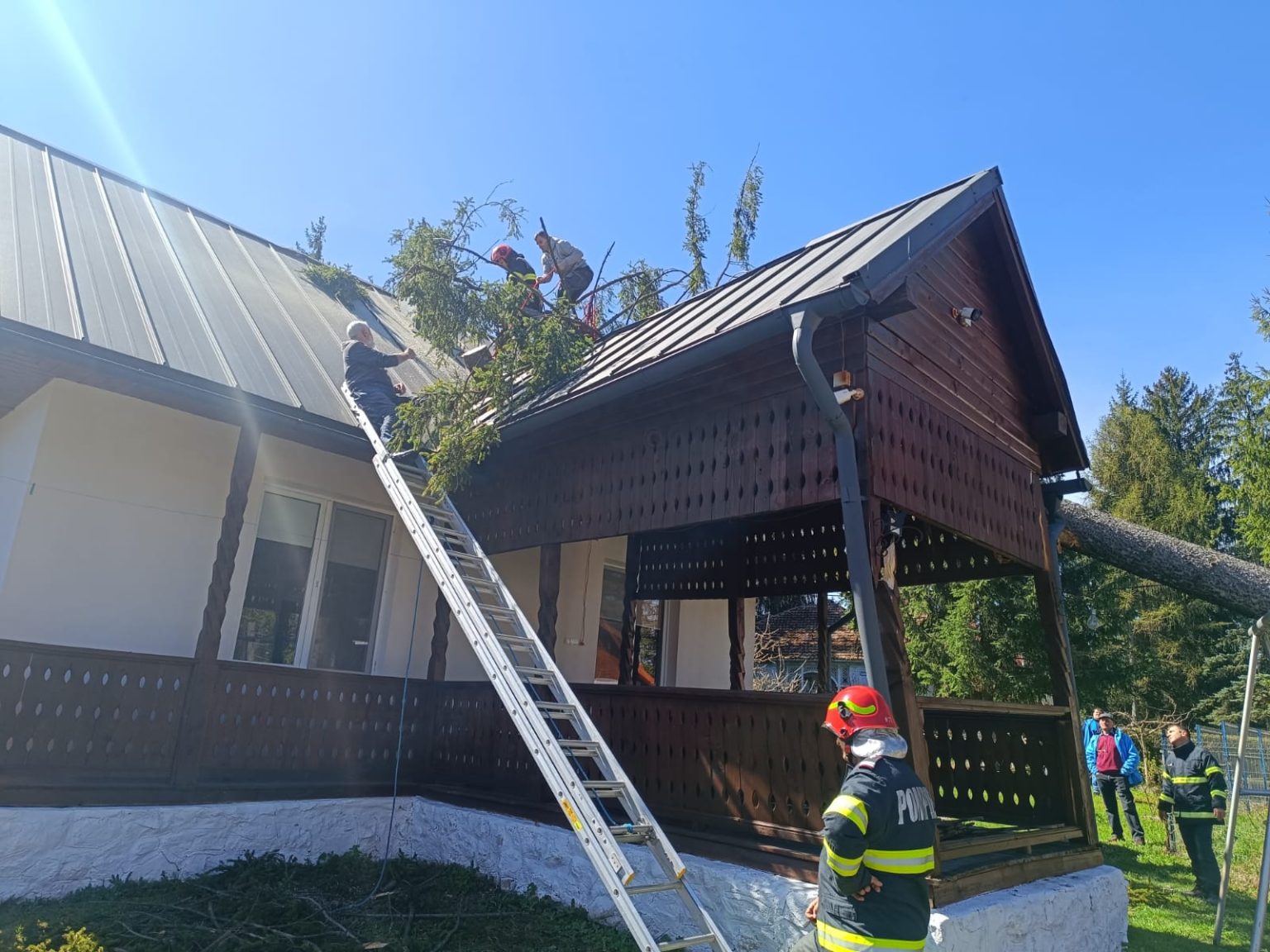 Fara victime dar cu daune copac cazut peste o locuinta din comuna Voslaben