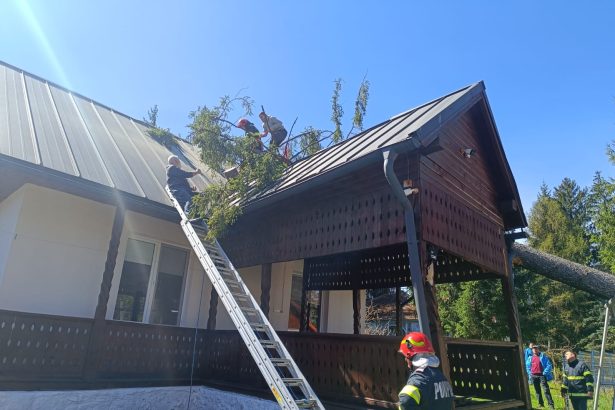 Fara victime dar cu daune copac cazut peste o locuinta din comuna Voslaben