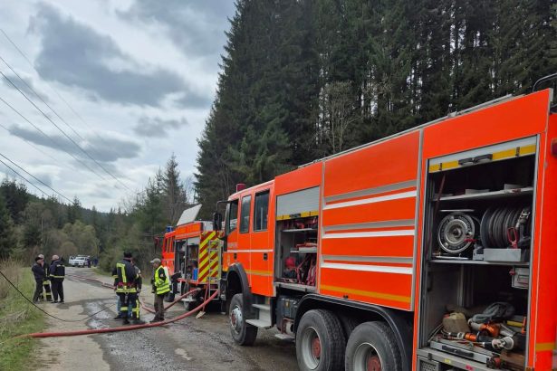 Incendiu in Borsec propvat de un copac care a rupt firele de inalta tensiune