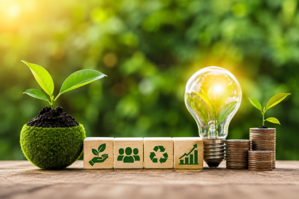 Proiect PNRR finalizat la Mihaileni dispensarul si scoala primara renovate energetic
